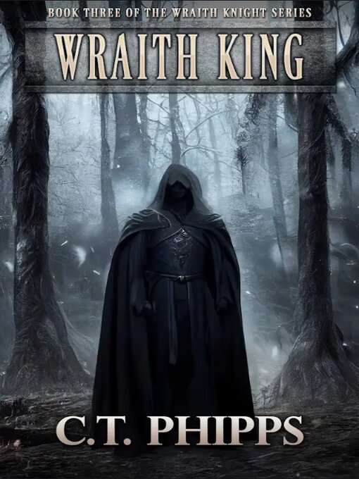 Cover image for Wraith King